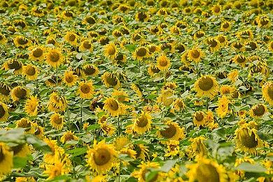 休闲多人社交聚会派对游戏《吸尘英雄》现已推出试玩Demo